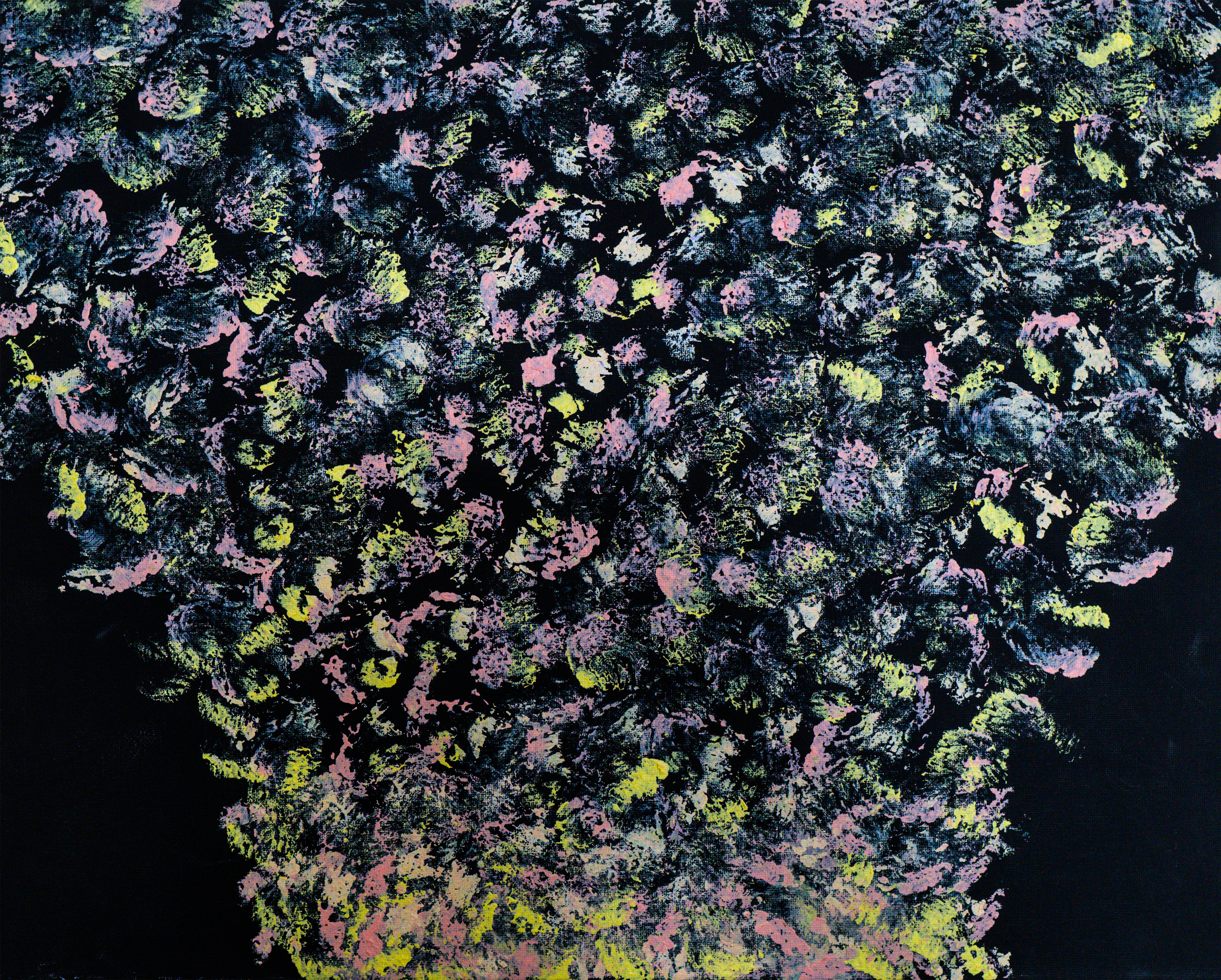 Petal Explosion
